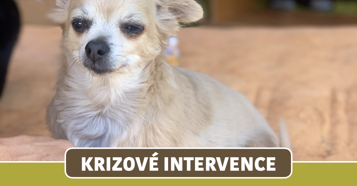 Krizové intervence